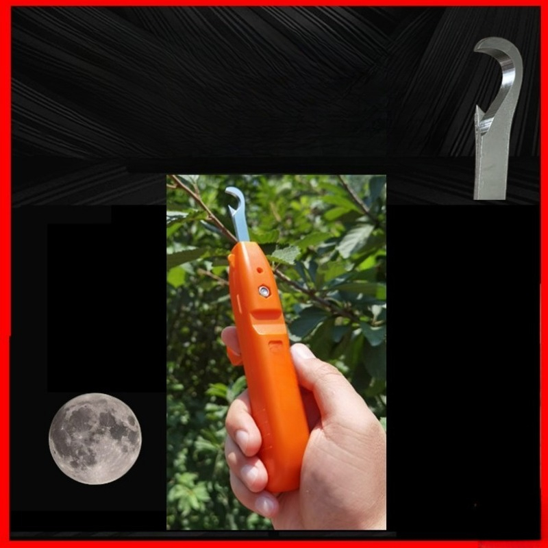 مقصات قطف الفاكهة من الفولاذ ا - مراجعة Gardening Tools Vegetables وسعره