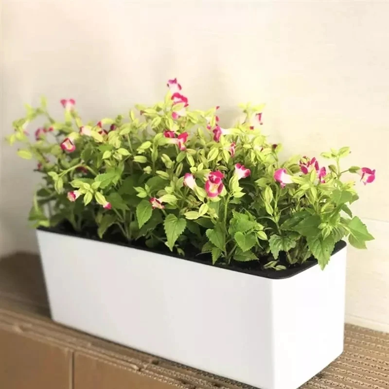 أصيص زهور مستطيل كسول بوعاء زه - مراجعة Automatic Plant Waterer وسعره