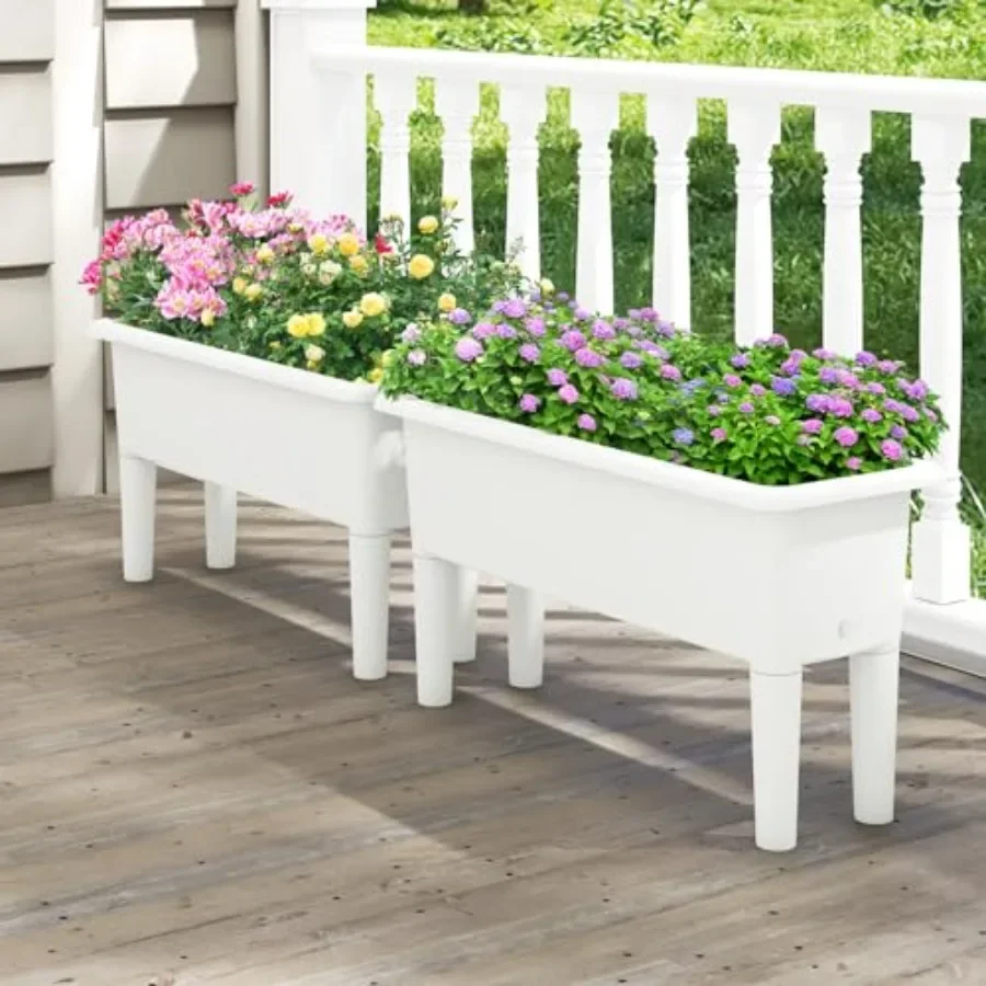 مجموعة من حوضين لزراعة النباتا - مراجعة Self-Watering Planter وسعره