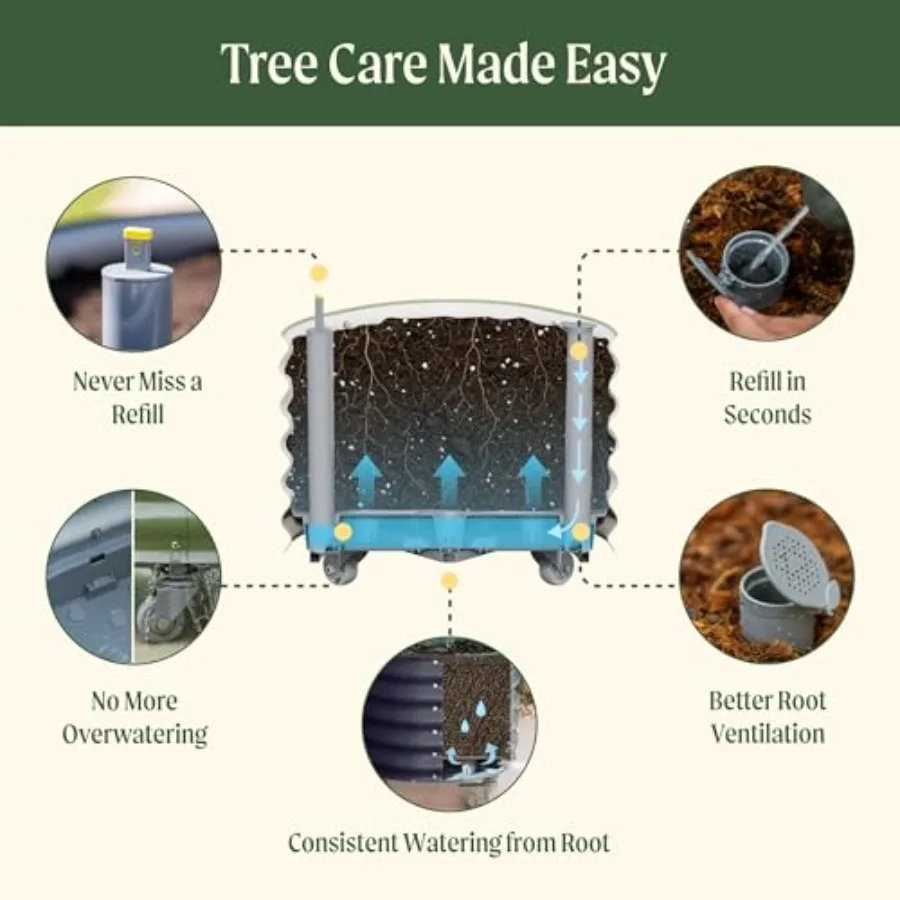 وعاء زراعة شجرة الحمضيات الدوا - مراجعة Self-Watering Planter وسعره