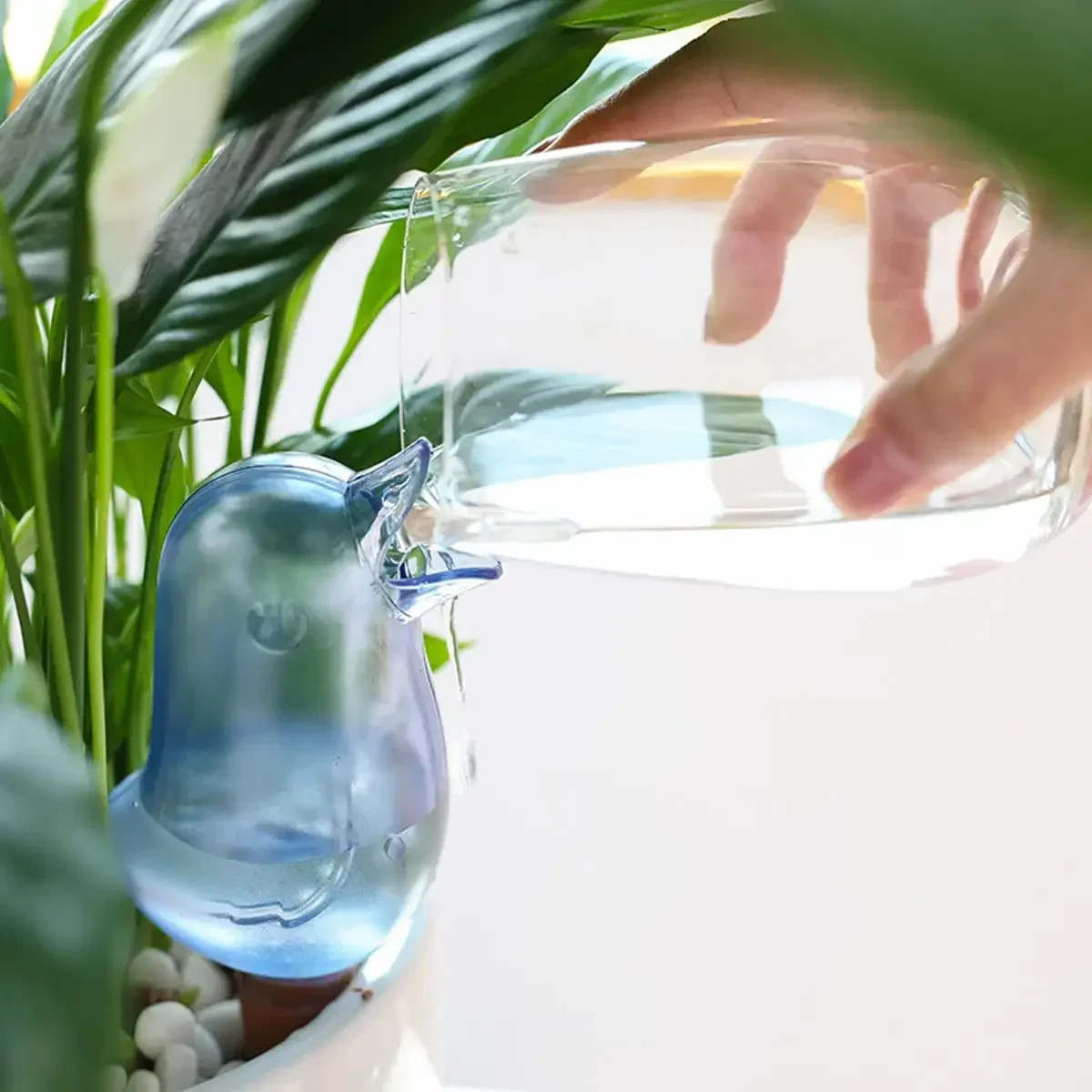عالية الجودة التلقائي زهرة سقي - مراجعة Automatic Plant Waterer وسعره